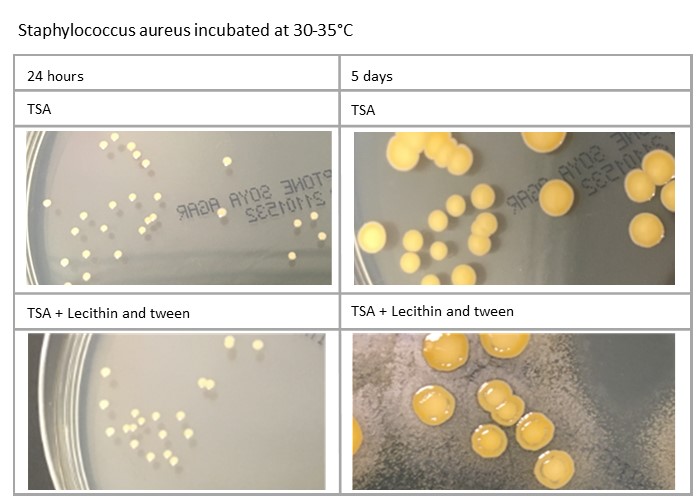 Incubating plates in environmental monitoring challenges and lessons
